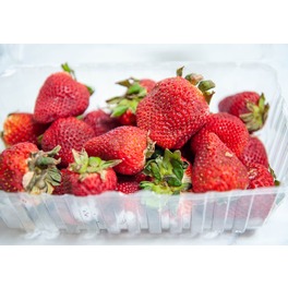 STRAWBERRY LARGE POT 900G (APPROX)