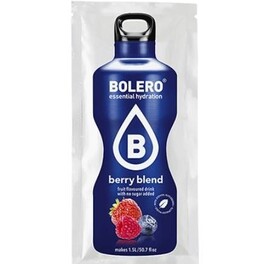 BOLERO INSTANT DRINK BERRY BLEND