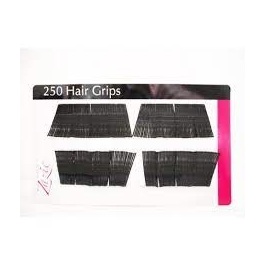 HAIR ACADEMY HAIR GRIPS 250PK