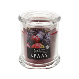 SPAAS HOUSEHOLD GLASS JAR BERRY COCKTAIL